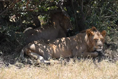 DSC_3544 (Large).JPG